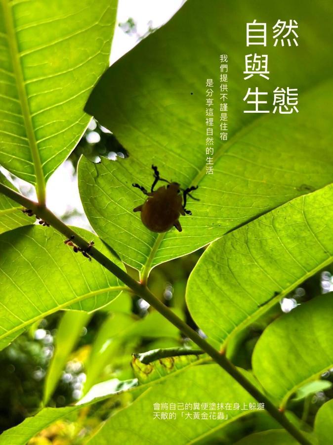慢水山丘民宿 Slow Water Hill Yuemei Extérieur photo
