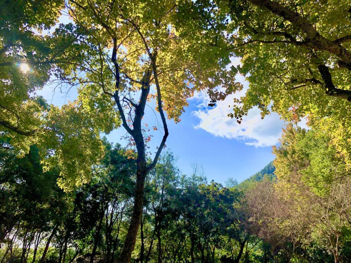 慢水山丘民宿 Slow Water Hill Yuemei Extérieur photo